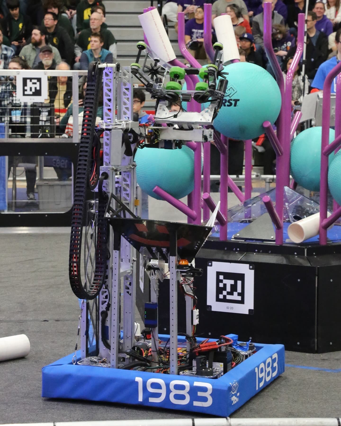 Coral reef background